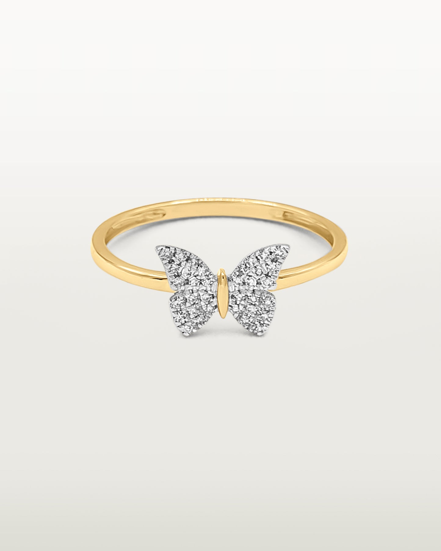 The Butterfly Bundle
