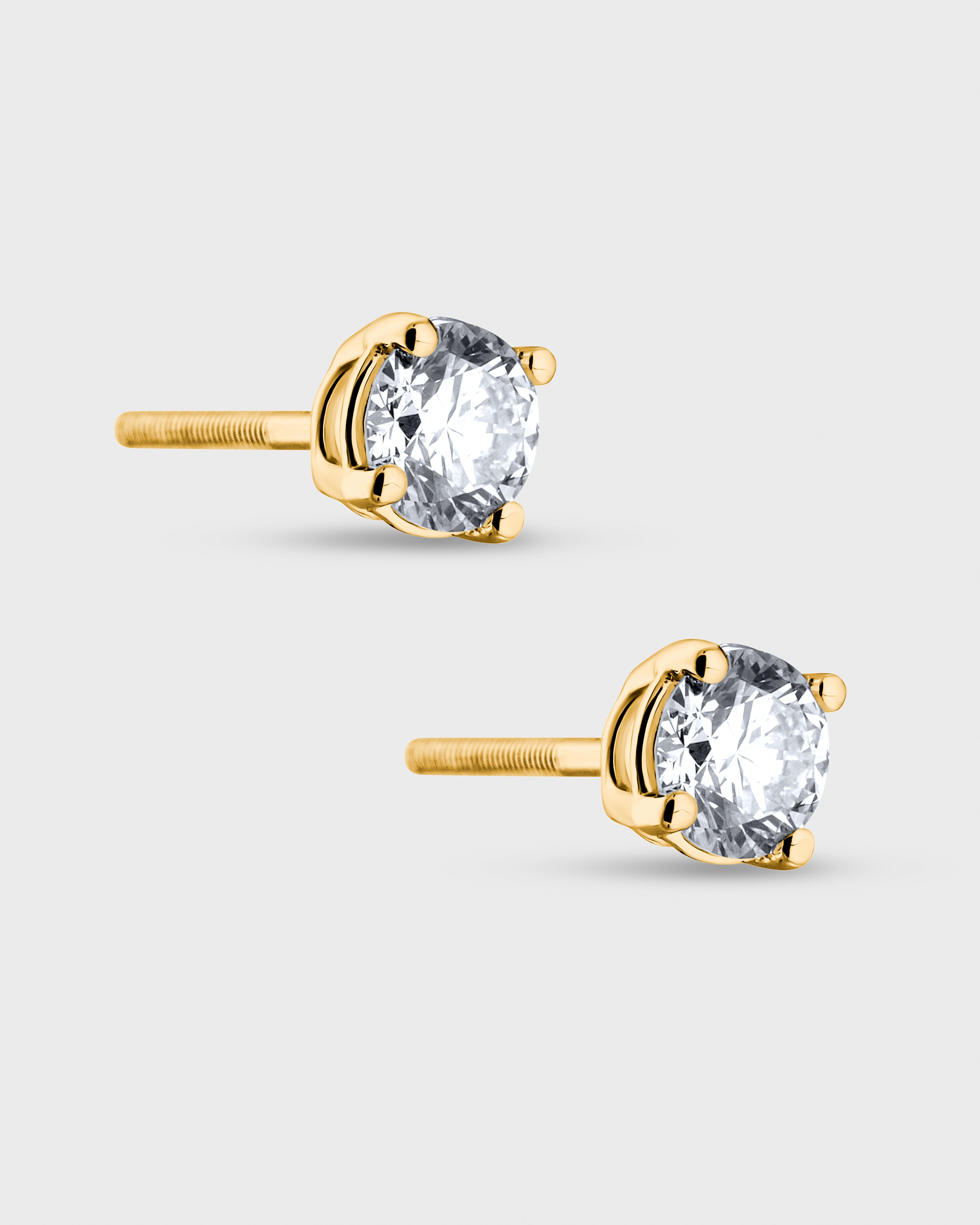 Woman's Earrings