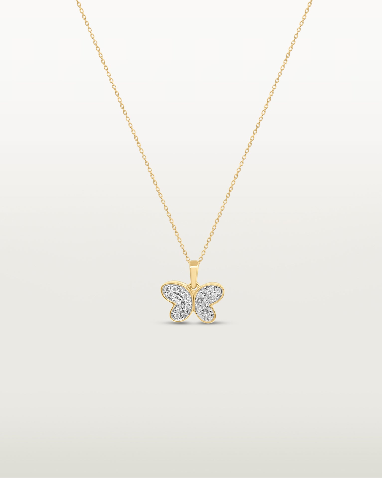 The Butterfly Bundle