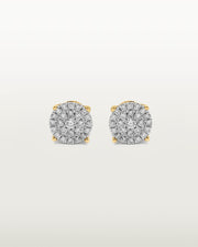 Luminous Cluster Stud