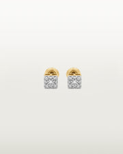Oscar Luminous Studs